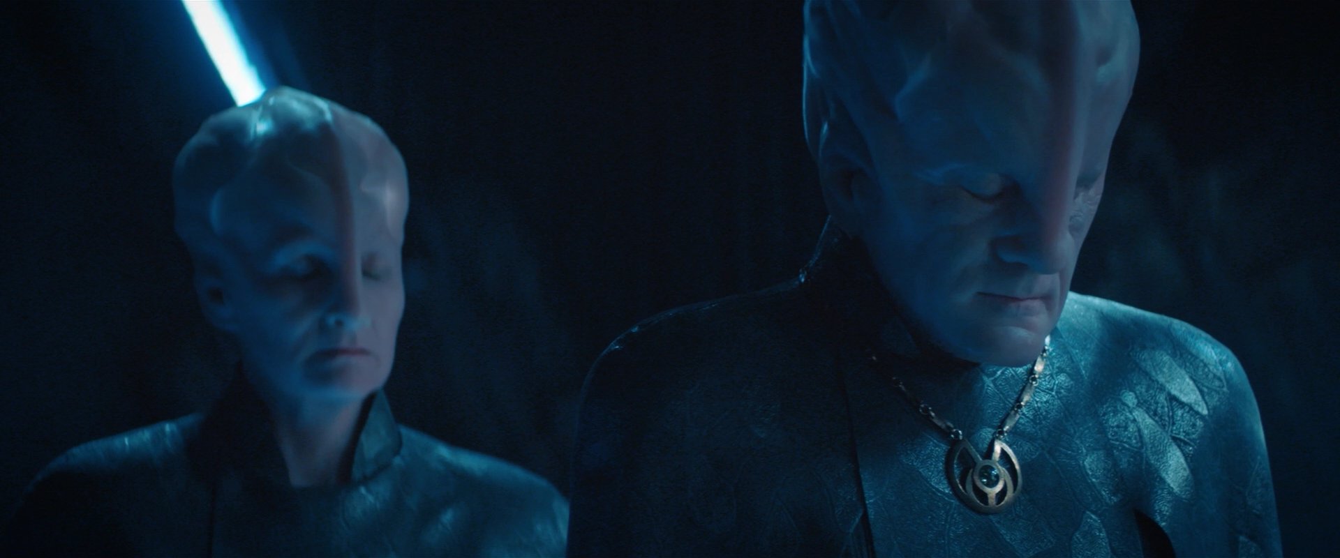 extant_StarTrekDiscovery_2x08-IfMemoryServes_02234.jpg