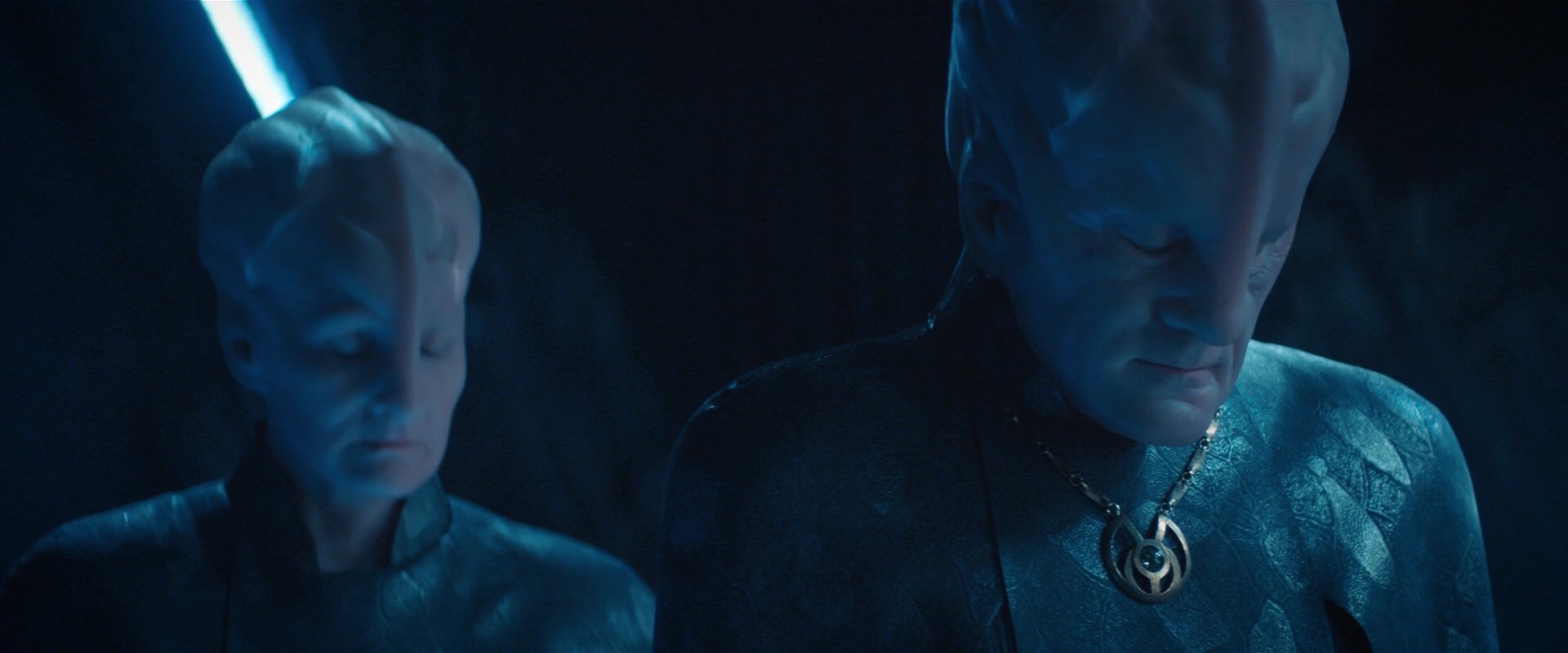 extant_StarTrekDiscovery_2x08-IfMemoryServes_02235.jpg