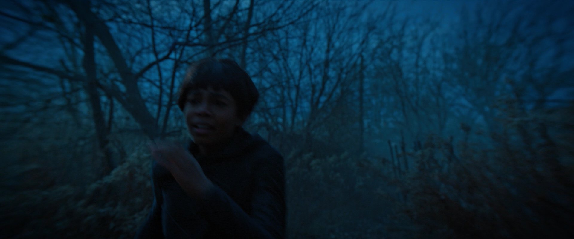 extant_StarTrekDiscovery_2x08-IfMemoryServes_02262.jpg