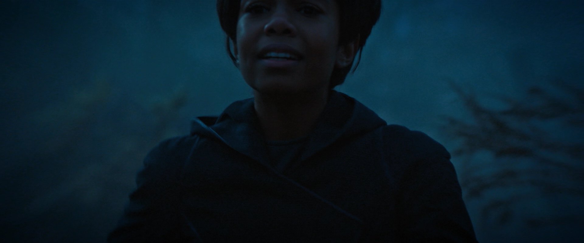 extant_StarTrekDiscovery_2x08-IfMemoryServes_02264.jpg