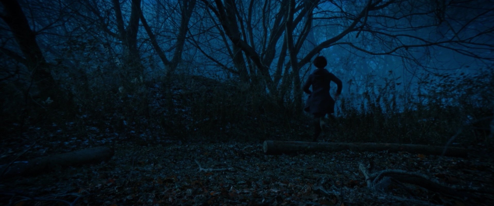 extant_StarTrekDiscovery_2x08-IfMemoryServes_02295.jpg