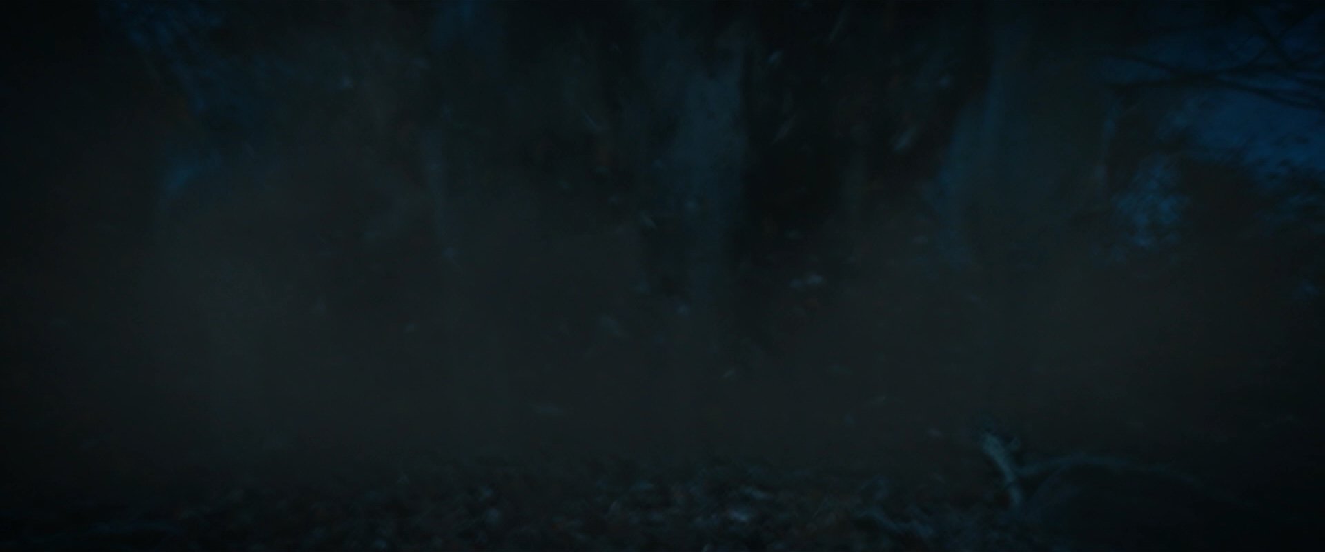 extant_StarTrekDiscovery_2x08-IfMemoryServes_02297.jpg