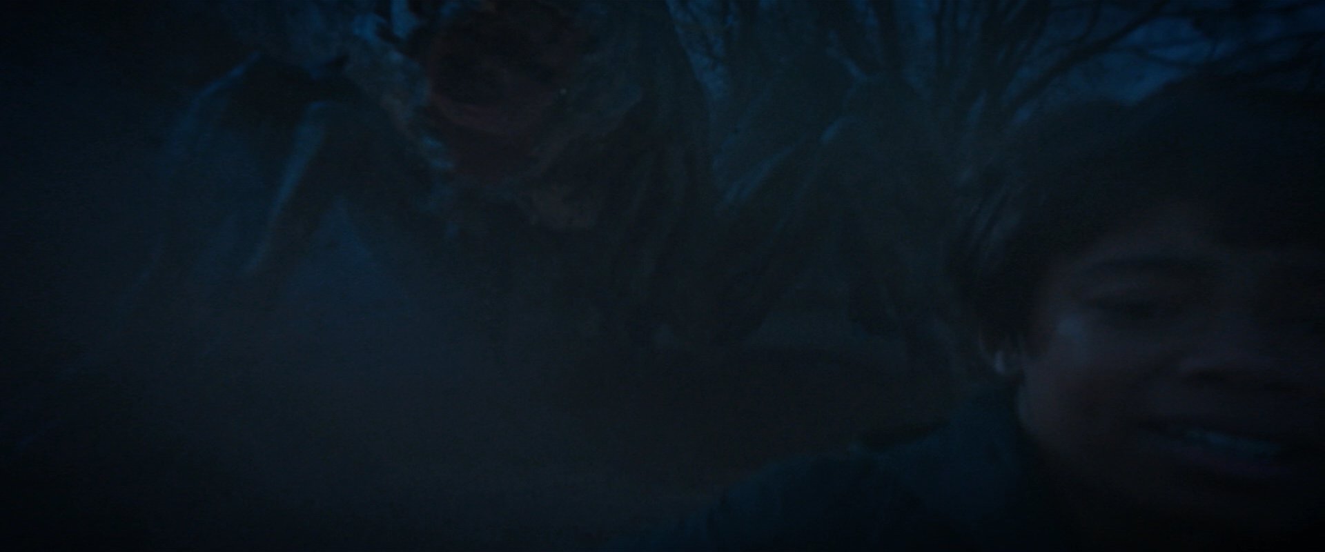 extant_StarTrekDiscovery_2x08-IfMemoryServes_02300.jpg