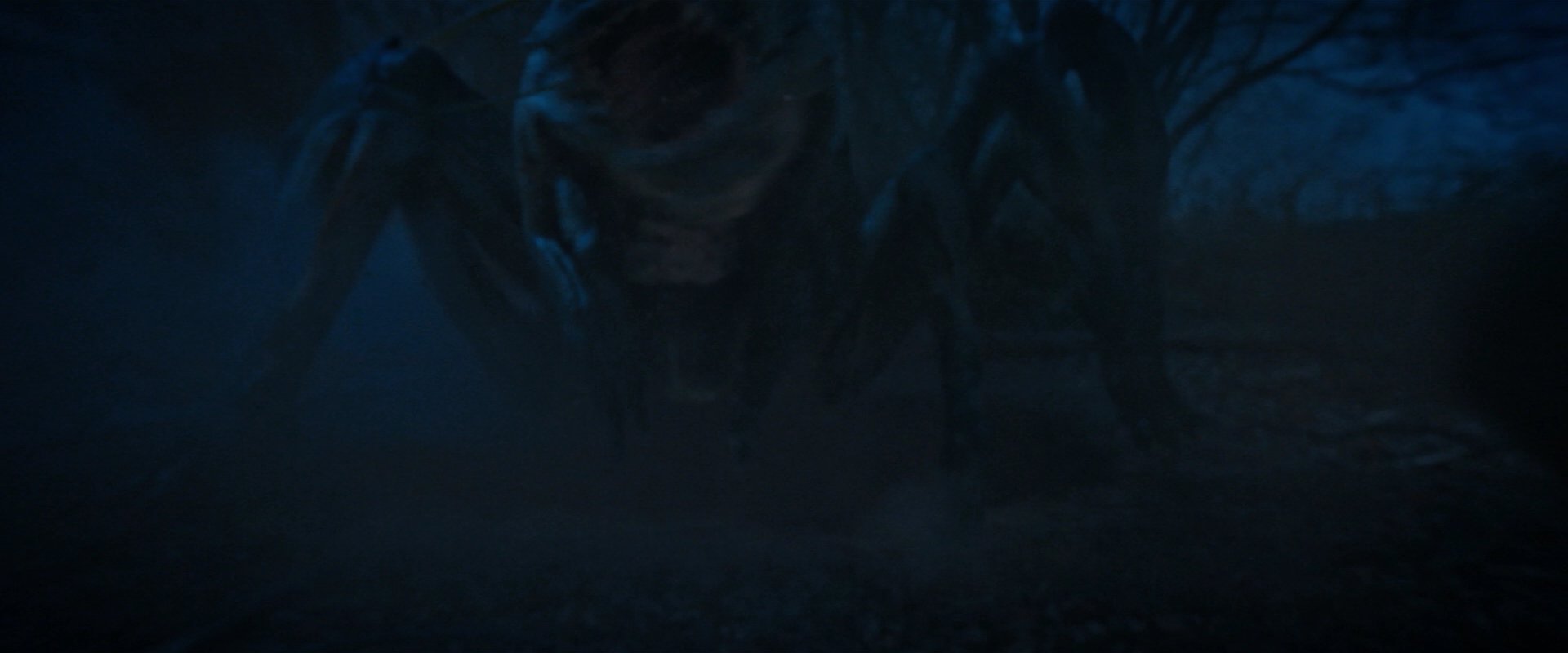 extant_StarTrekDiscovery_2x08-IfMemoryServes_02301.jpg