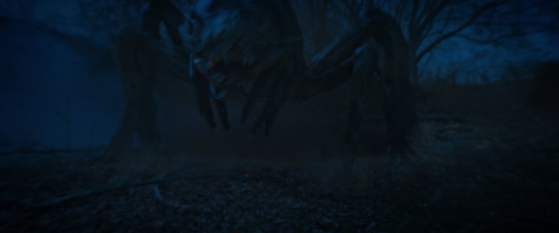 extant_StarTrekDiscovery_2x08-IfMemoryServes_02303.jpg