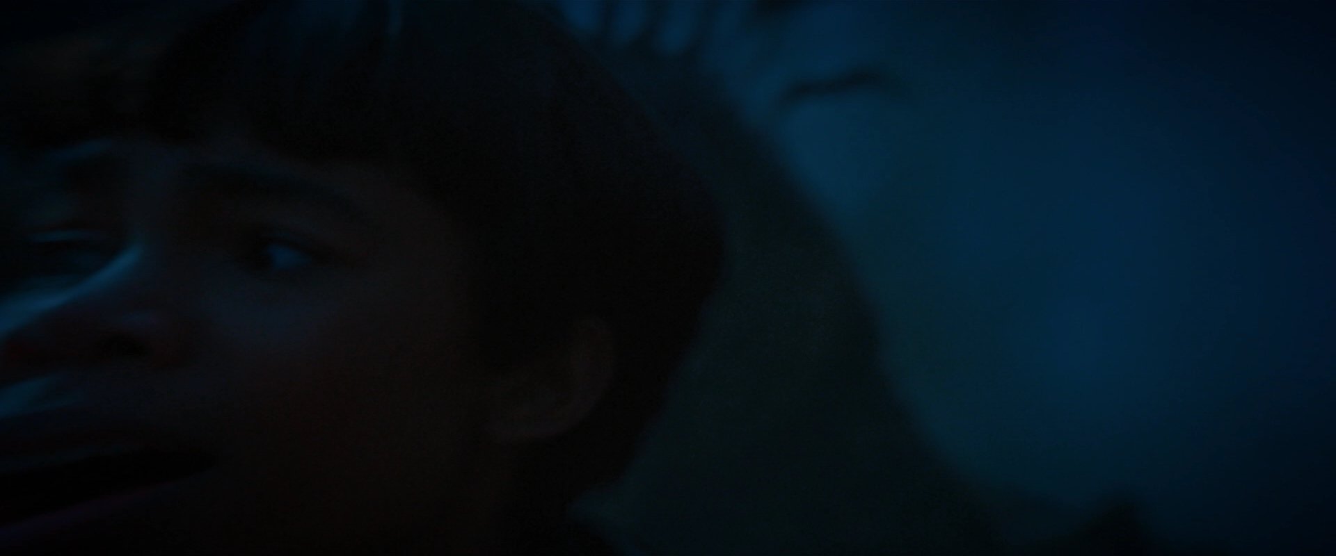 extant_StarTrekDiscovery_2x08-IfMemoryServes_02308.jpg