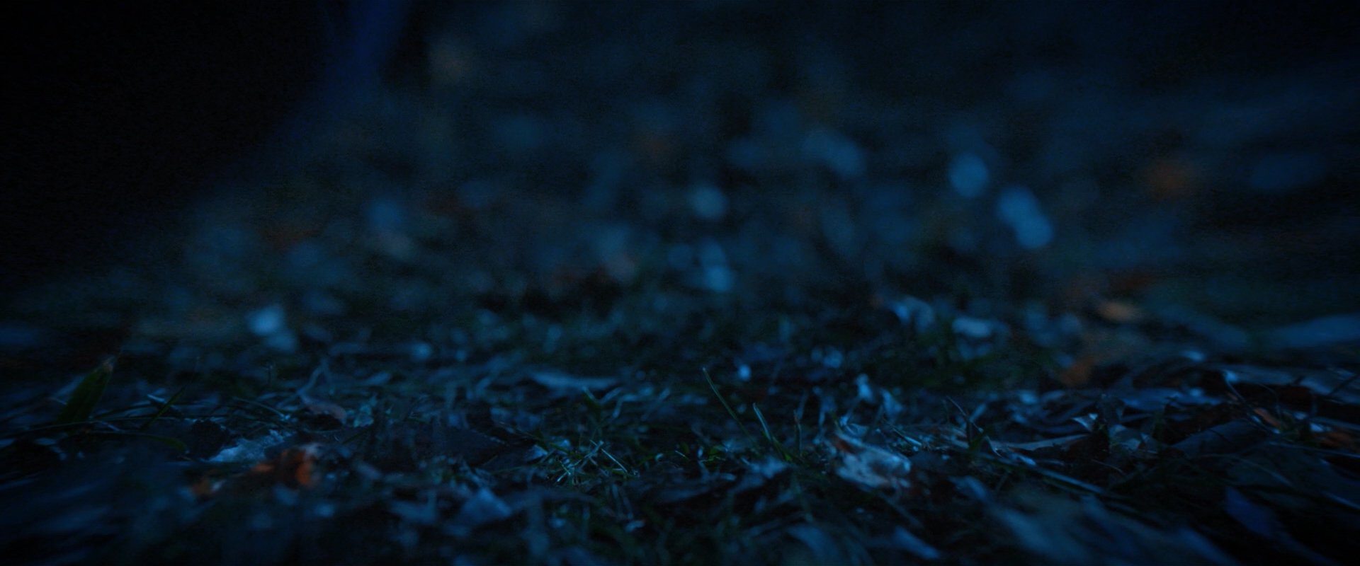 extant_StarTrekDiscovery_2x08-IfMemoryServes_02312.jpg