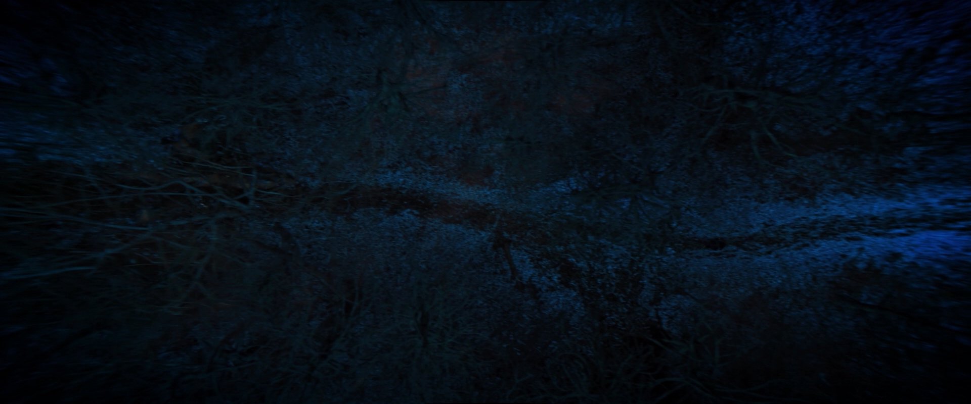 extant_StarTrekDiscovery_2x08-IfMemoryServes_02330.jpg