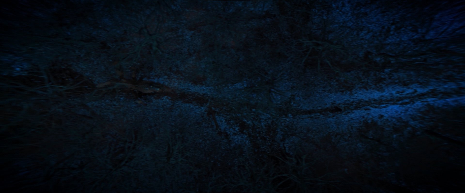 extant_StarTrekDiscovery_2x08-IfMemoryServes_02331.jpg
