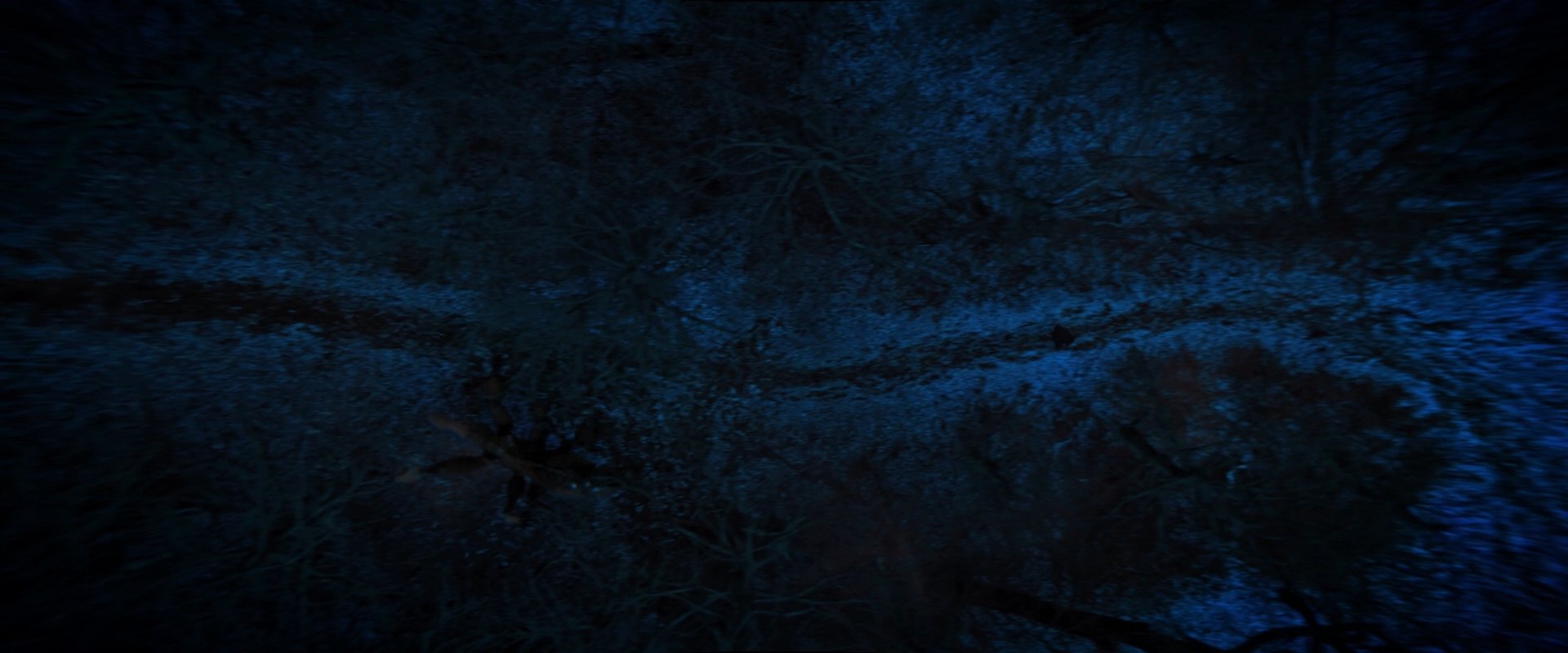 extant_StarTrekDiscovery_2x08-IfMemoryServes_02333.jpg