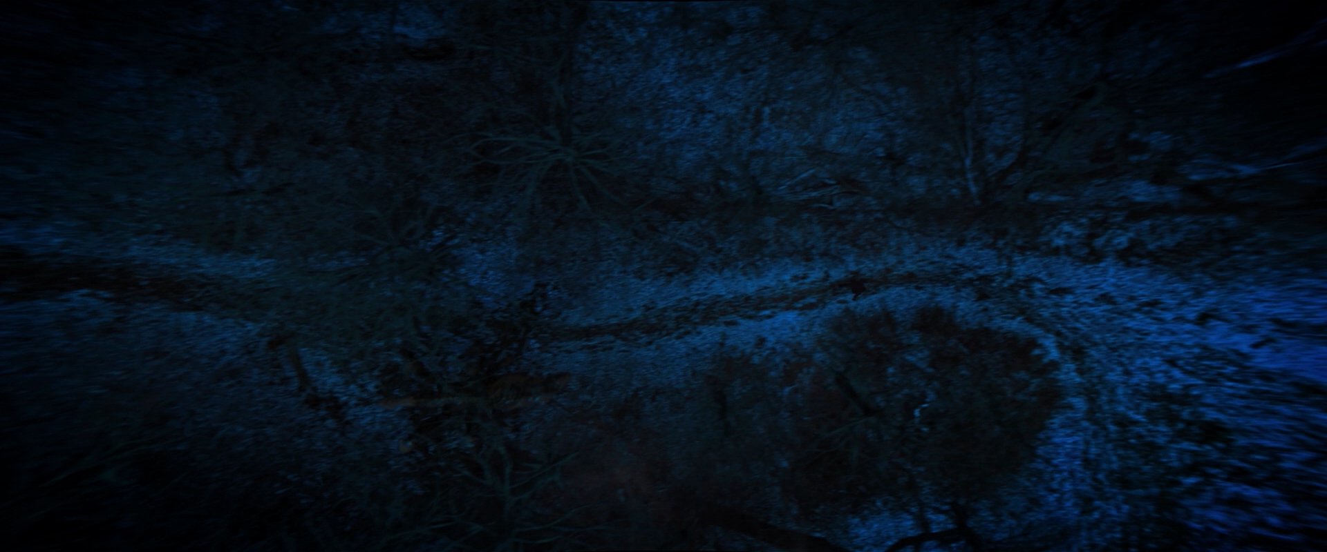 extant_StarTrekDiscovery_2x08-IfMemoryServes_02334.jpg