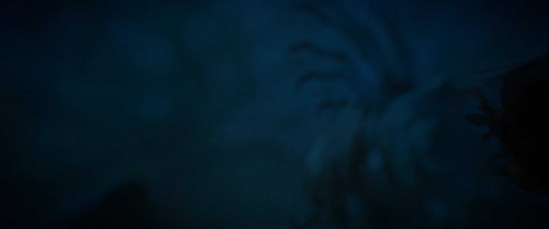 extant_StarTrekDiscovery_2x08-IfMemoryServes_02337.jpg