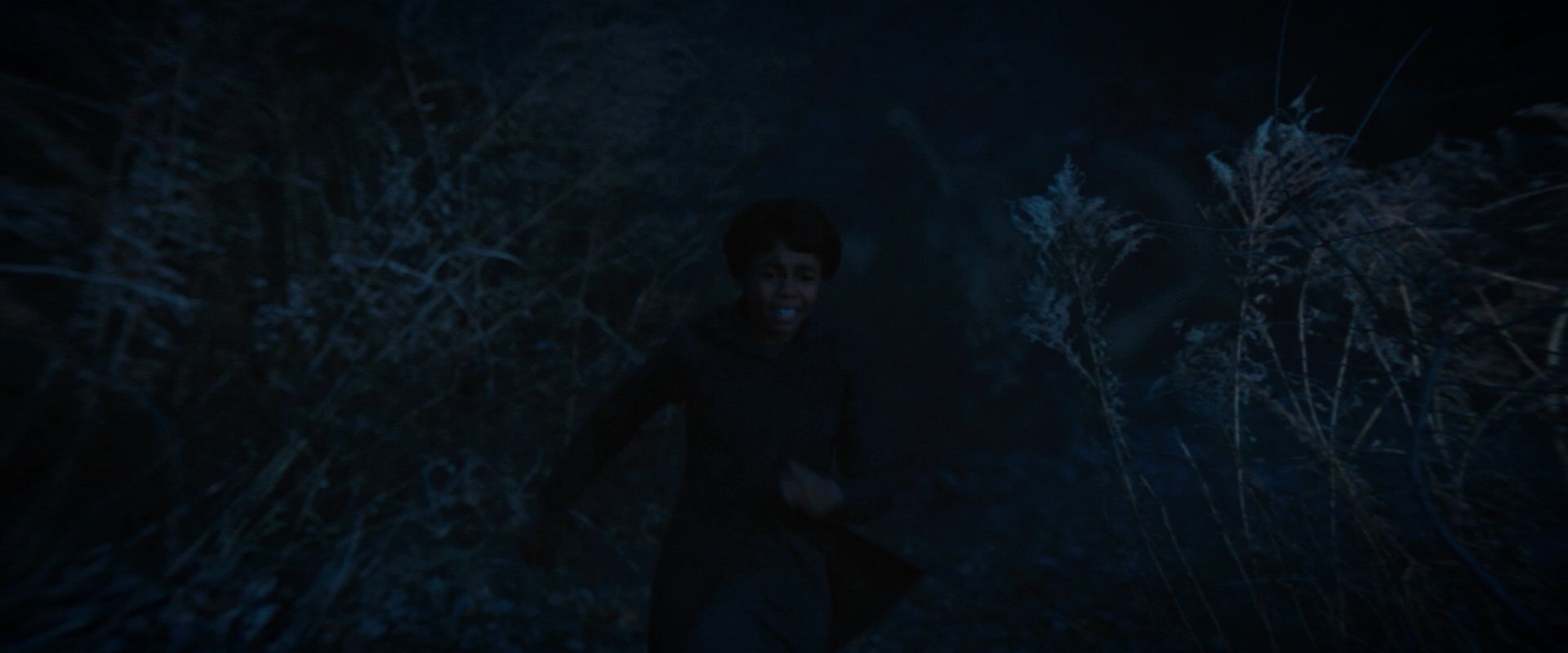 extant_StarTrekDiscovery_2x08-IfMemoryServes_02342.jpg
