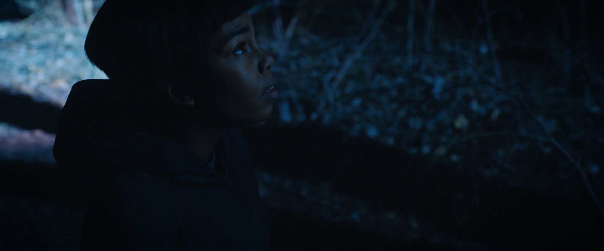 extant_StarTrekDiscovery_2x08-IfMemoryServes_02367.jpg