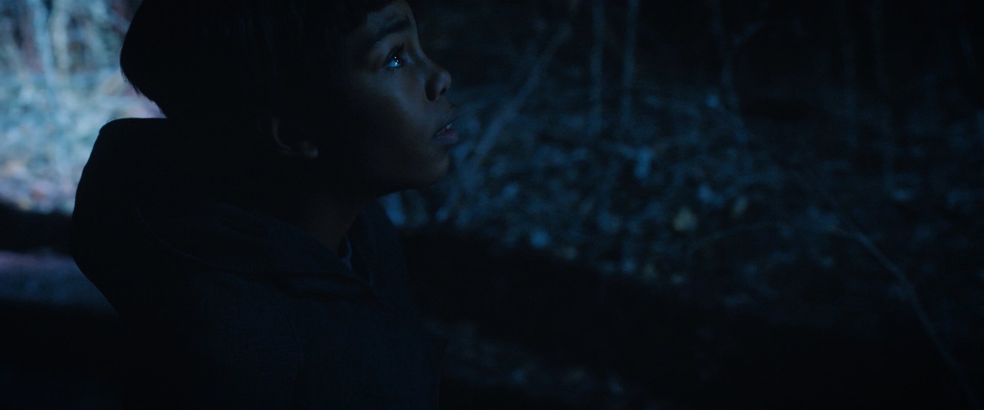 extant_StarTrekDiscovery_2x08-IfMemoryServes_02368.jpg