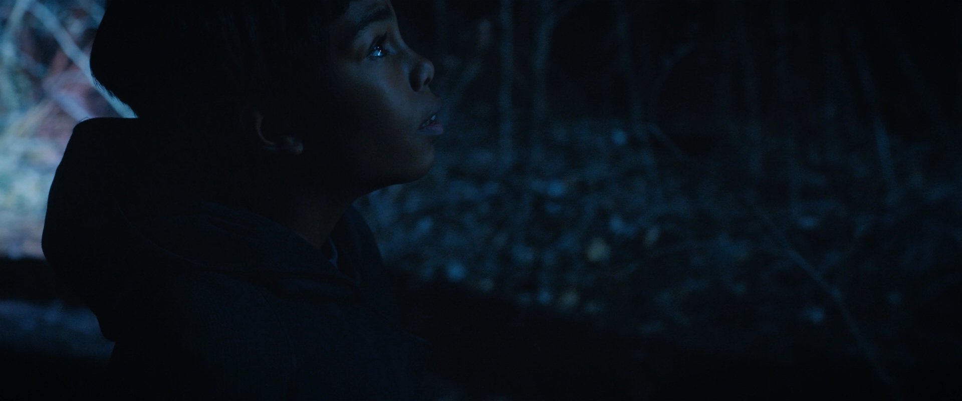 extant_StarTrekDiscovery_2x08-IfMemoryServes_02369.jpg