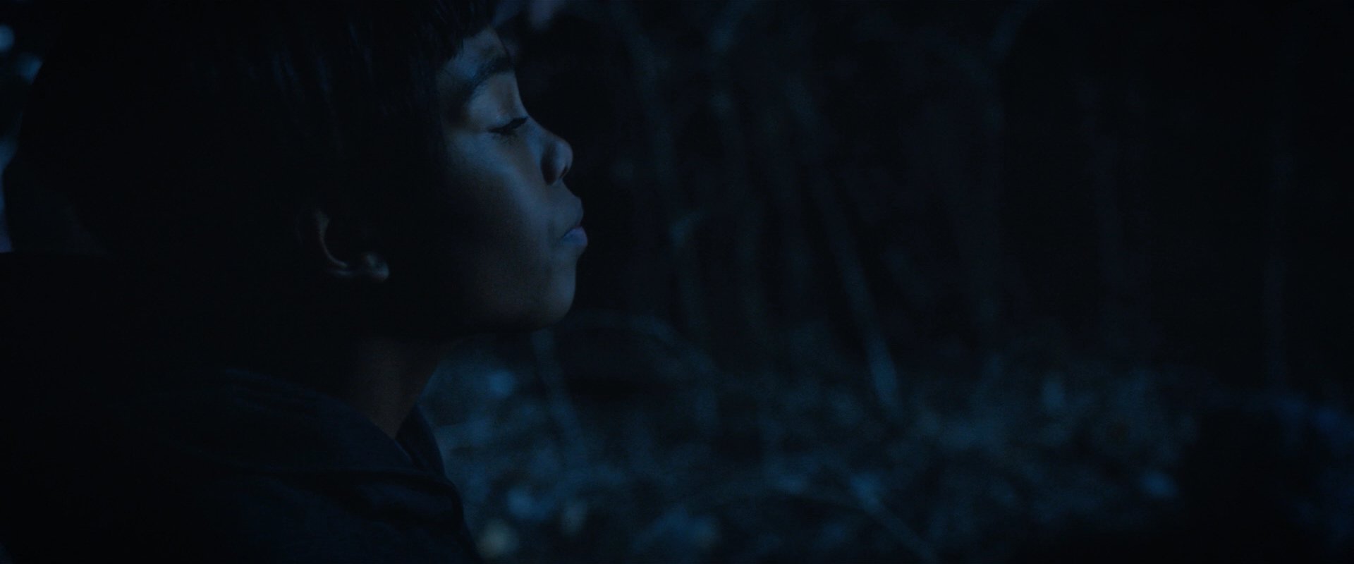extant_StarTrekDiscovery_2x08-IfMemoryServes_02373.jpg