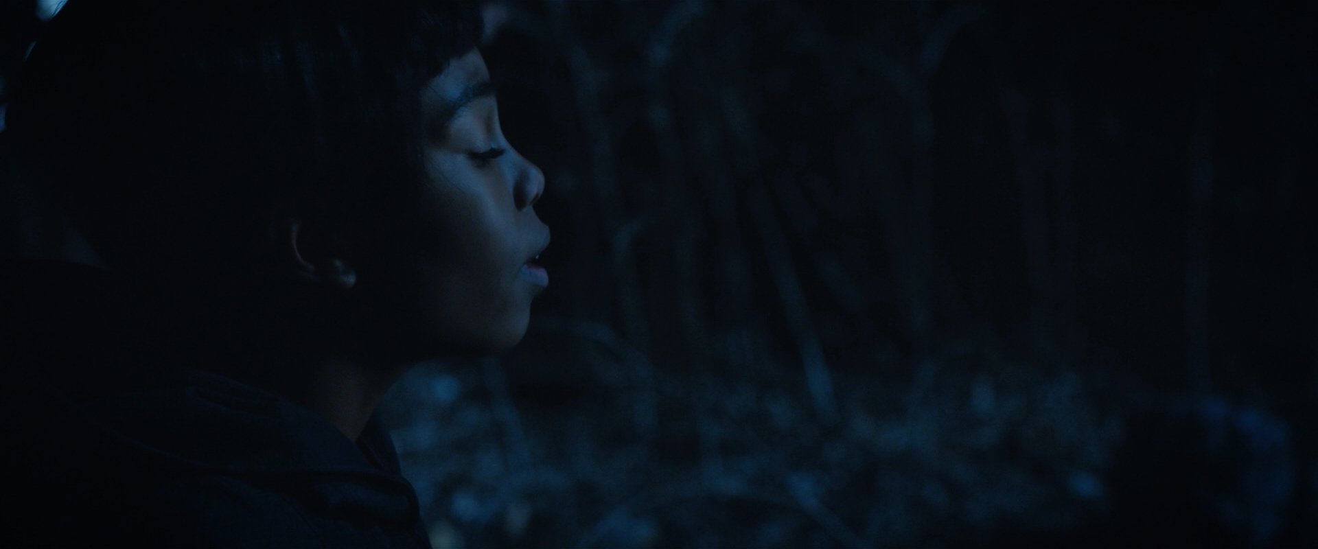 extant_StarTrekDiscovery_2x08-IfMemoryServes_02374.jpg