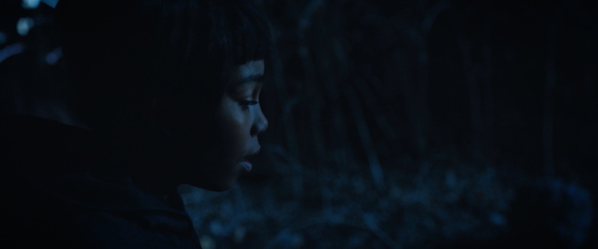 extant_StarTrekDiscovery_2x08-IfMemoryServes_02375.jpg