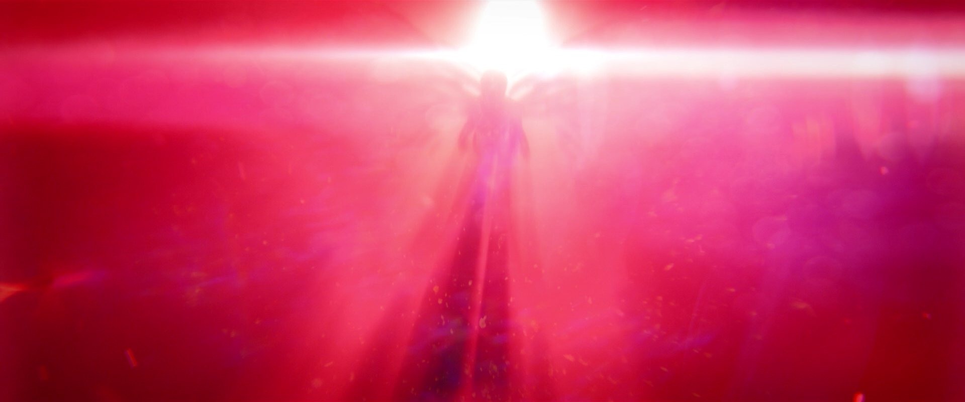 extant_StarTrekDiscovery_2x08-IfMemoryServes_02425.jpg