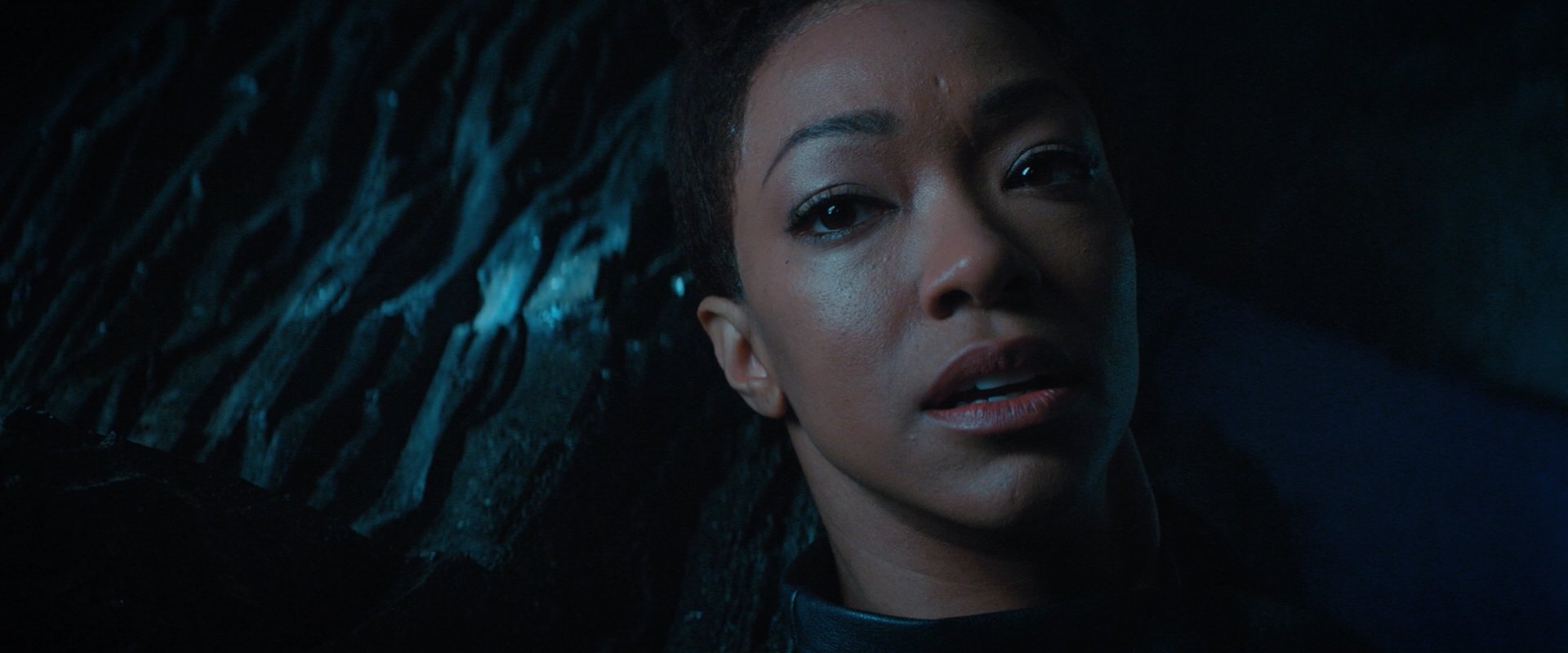 extant_StarTrekDiscovery_2x08-IfMemoryServes_02548.jpg