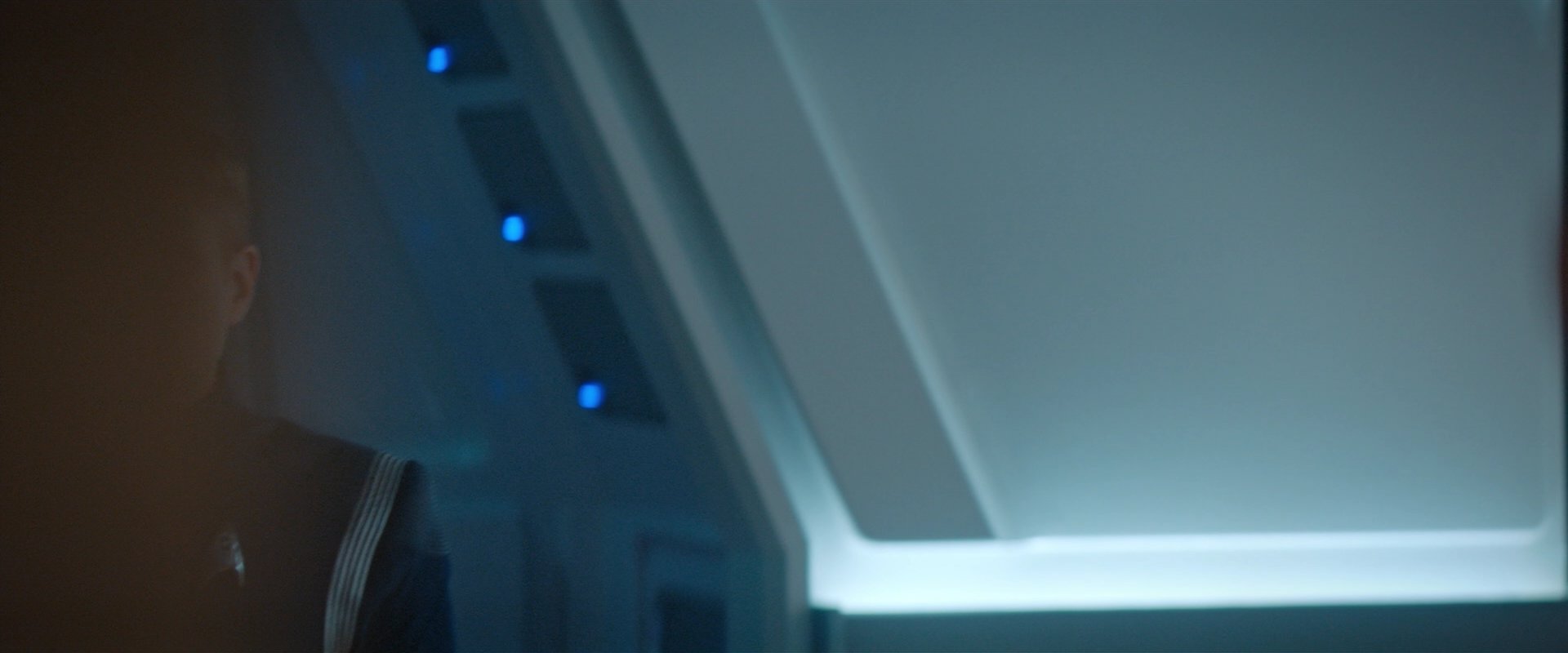 extant_StarTrekDiscovery_2x08-IfMemoryServes_02774.jpg