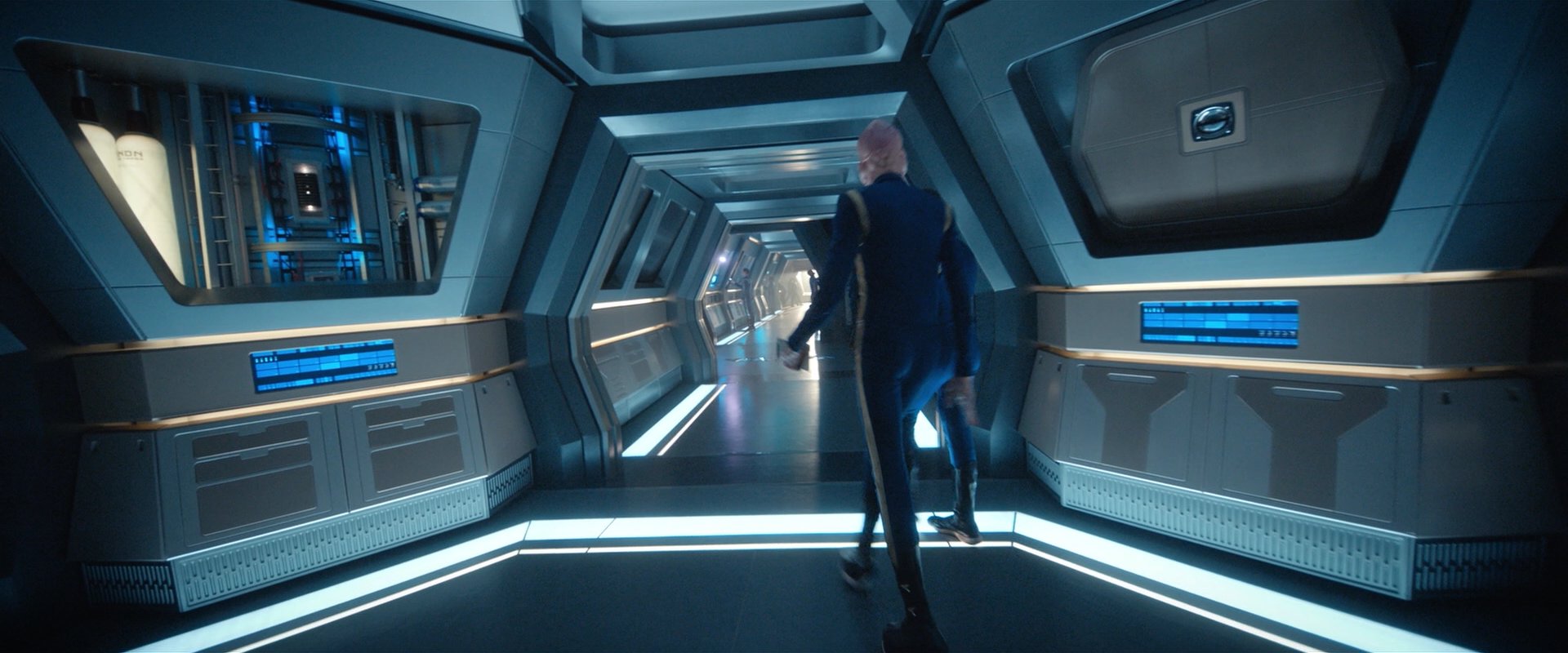 extant_StarTrekDiscovery_2x08-IfMemoryServes_03048.jpg