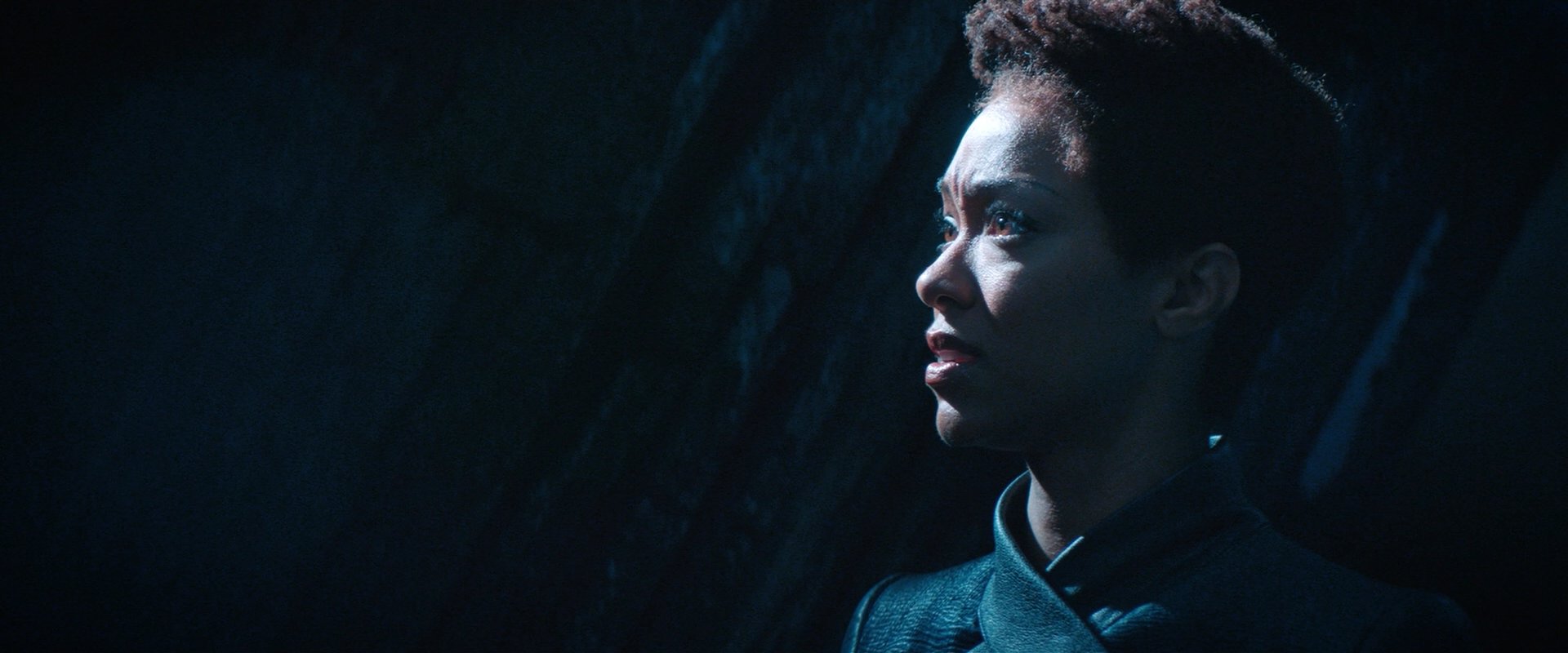 extant_StarTrekDiscovery_2x08-IfMemoryServes_03139.jpg