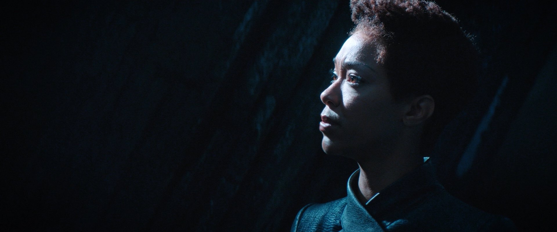 extant_StarTrekDiscovery_2x08-IfMemoryServes_03144.jpg
