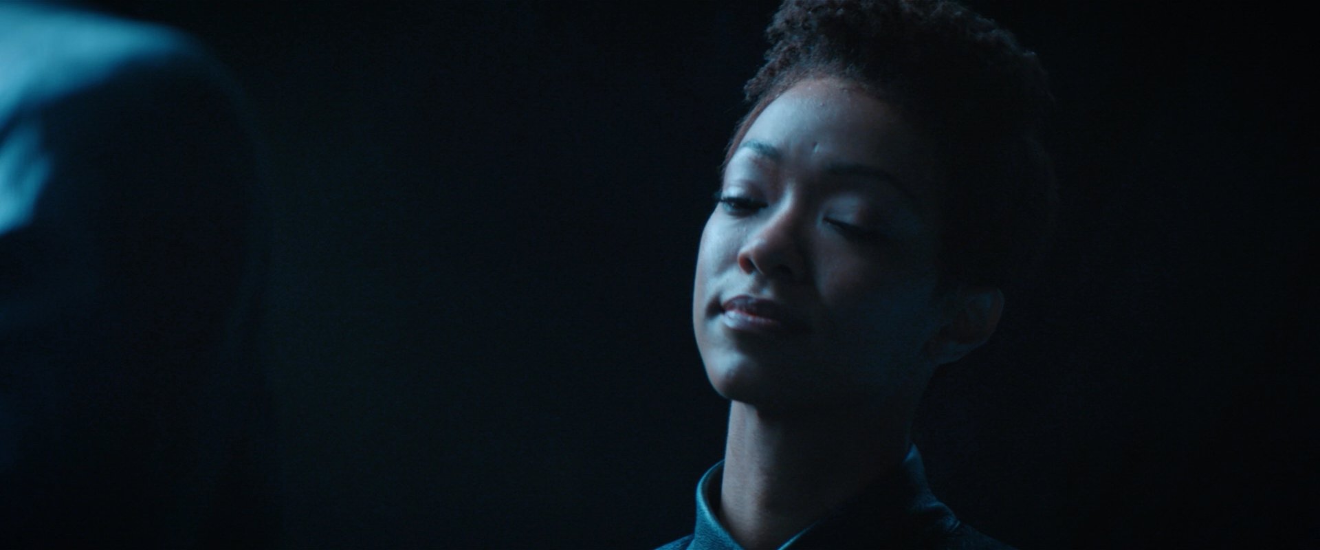 extant_StarTrekDiscovery_2x08-IfMemoryServes_03285.jpg