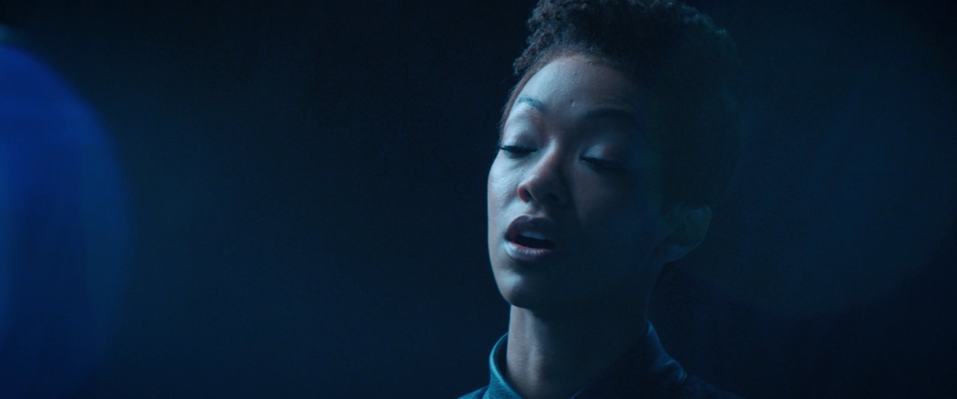 extant_StarTrekDiscovery_2x08-IfMemoryServes_03295.jpg