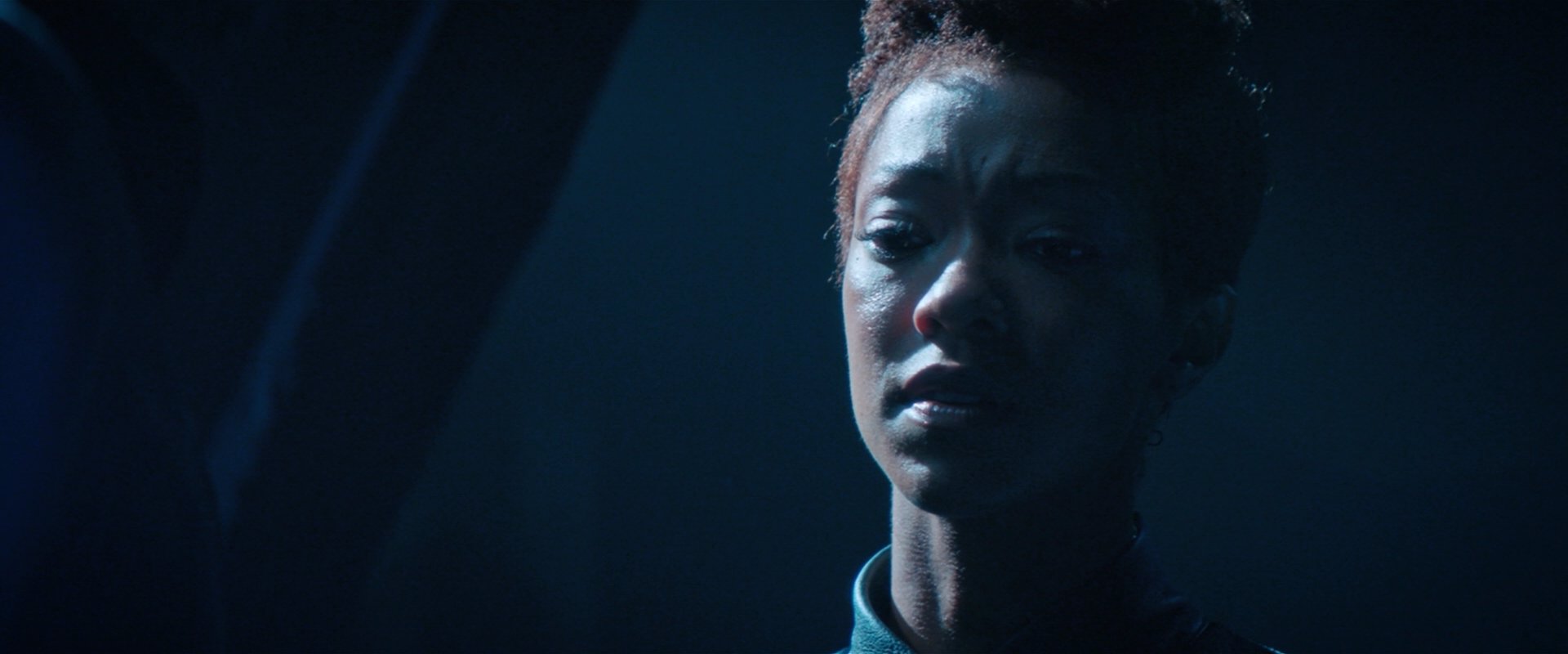 extant_StarTrekDiscovery_2x08-IfMemoryServes_03336.jpg
