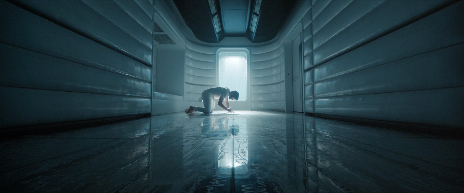 extant_StarTrekDiscovery_2x08-IfMemoryServes_03403.jpg