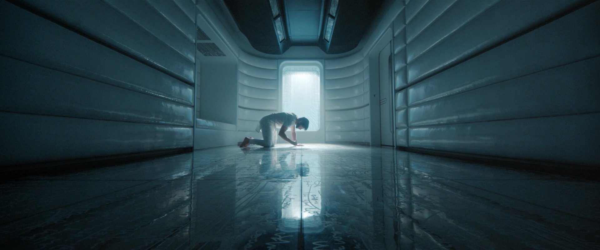 extant_StarTrekDiscovery_2x08-IfMemoryServes_03405.jpg