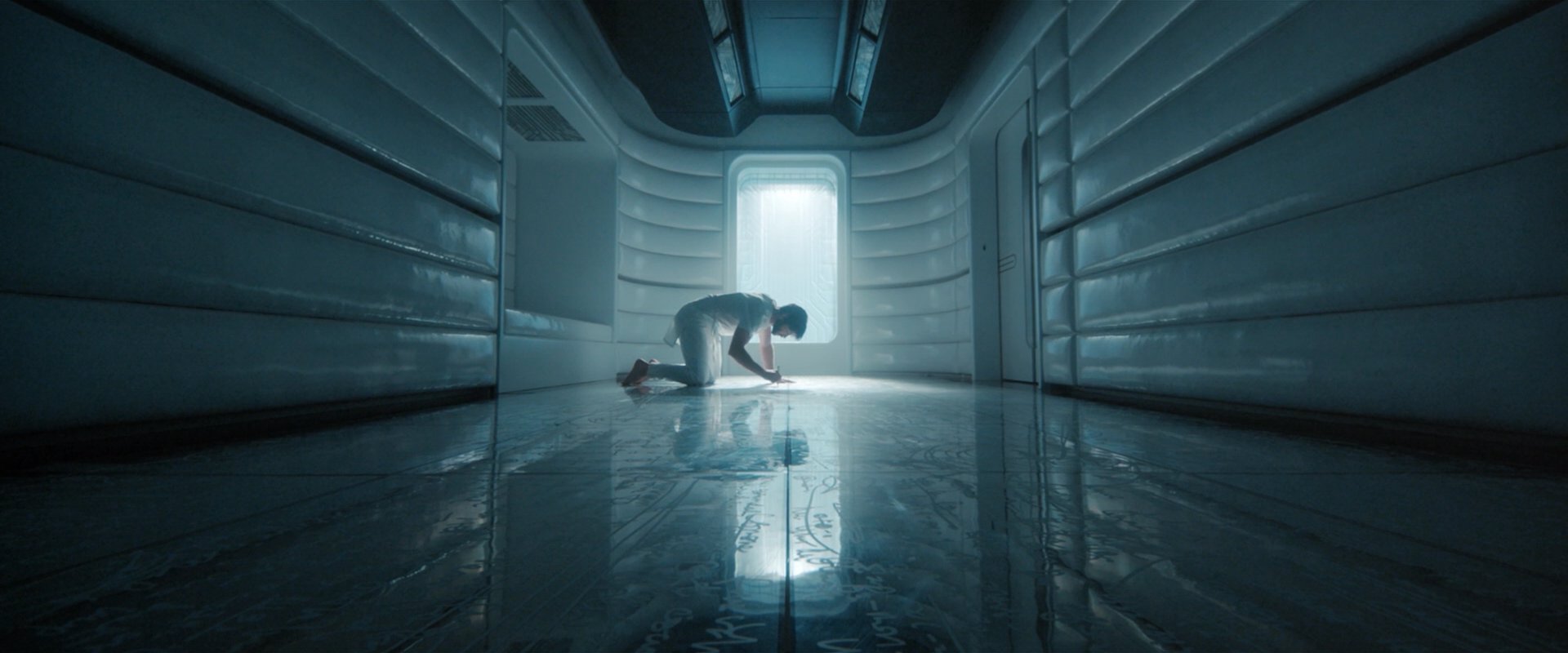 extant_StarTrekDiscovery_2x08-IfMemoryServes_03408.jpg