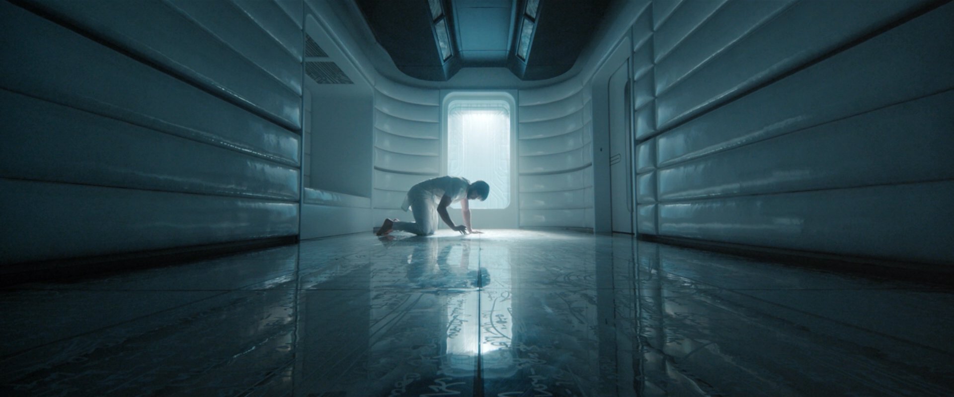 extant_StarTrekDiscovery_2x08-IfMemoryServes_03410.jpg