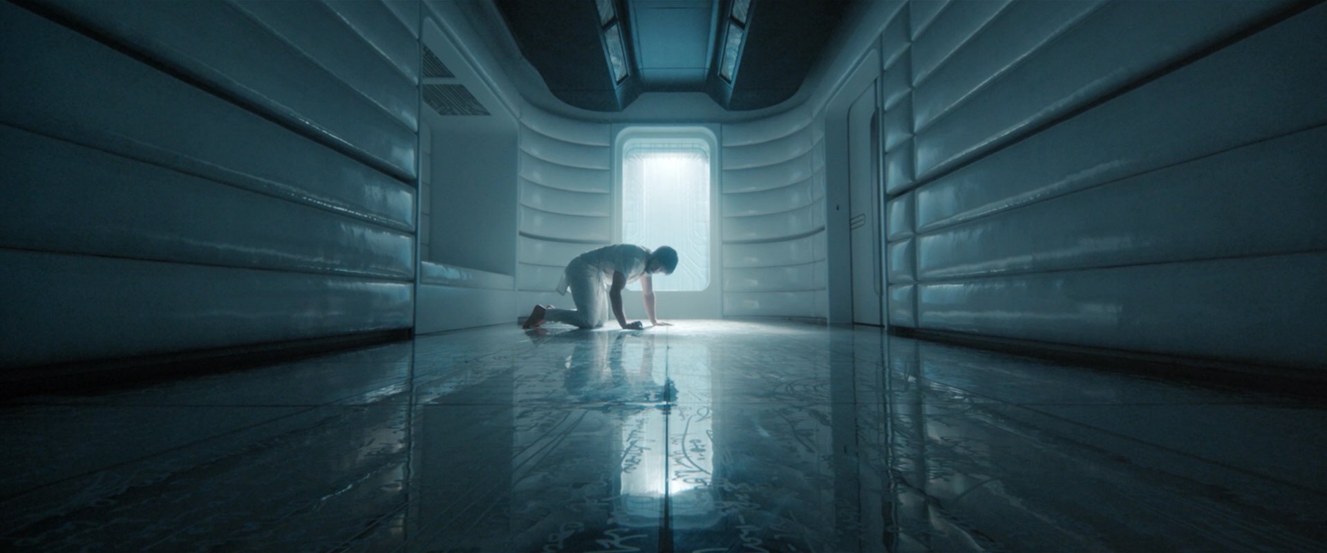 extant_StarTrekDiscovery_2x08-IfMemoryServes_03411.jpg
