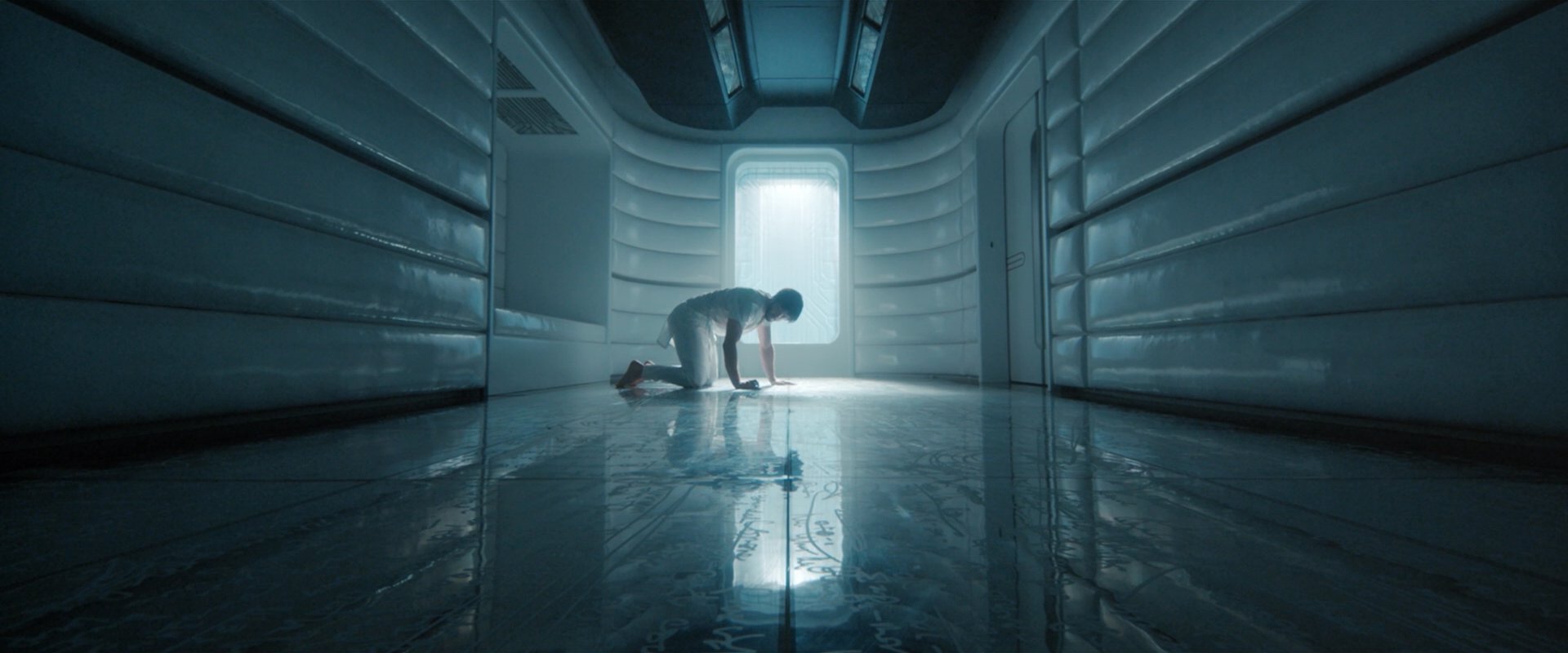 extant_StarTrekDiscovery_2x08-IfMemoryServes_03412.jpg