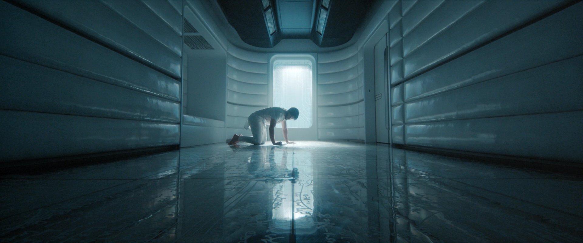 extant_StarTrekDiscovery_2x08-IfMemoryServes_03413.jpg