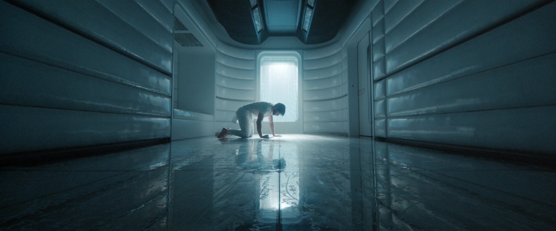 extant_StarTrekDiscovery_2x08-IfMemoryServes_03414.jpg