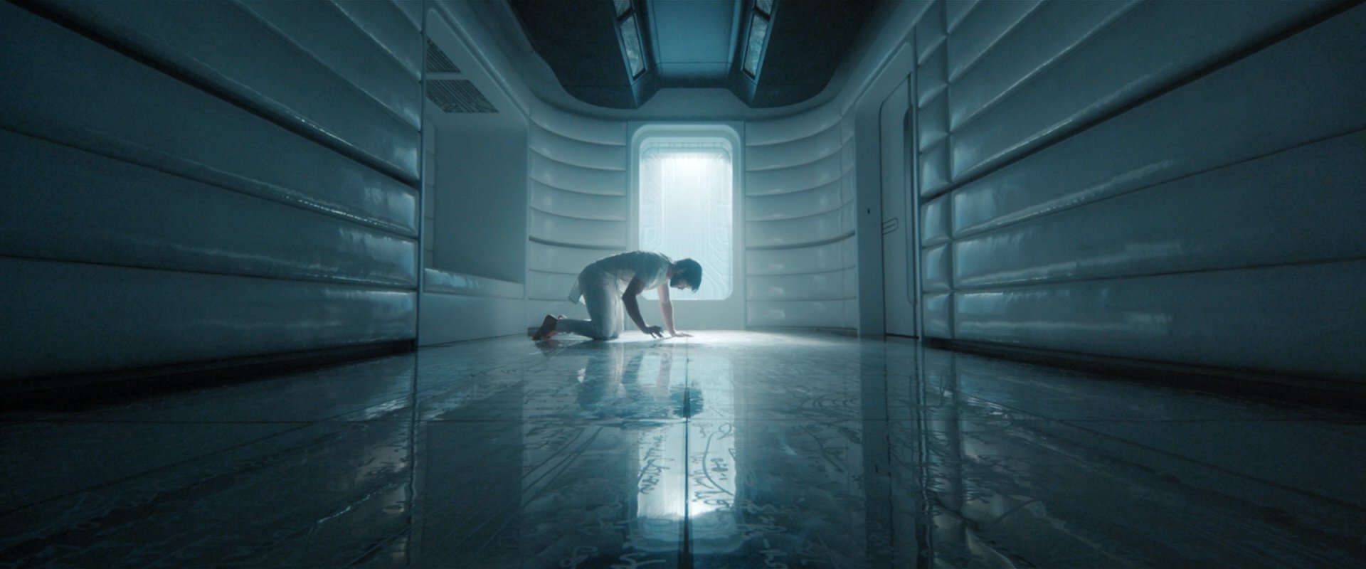 extant_StarTrekDiscovery_2x08-IfMemoryServes_03415.jpg