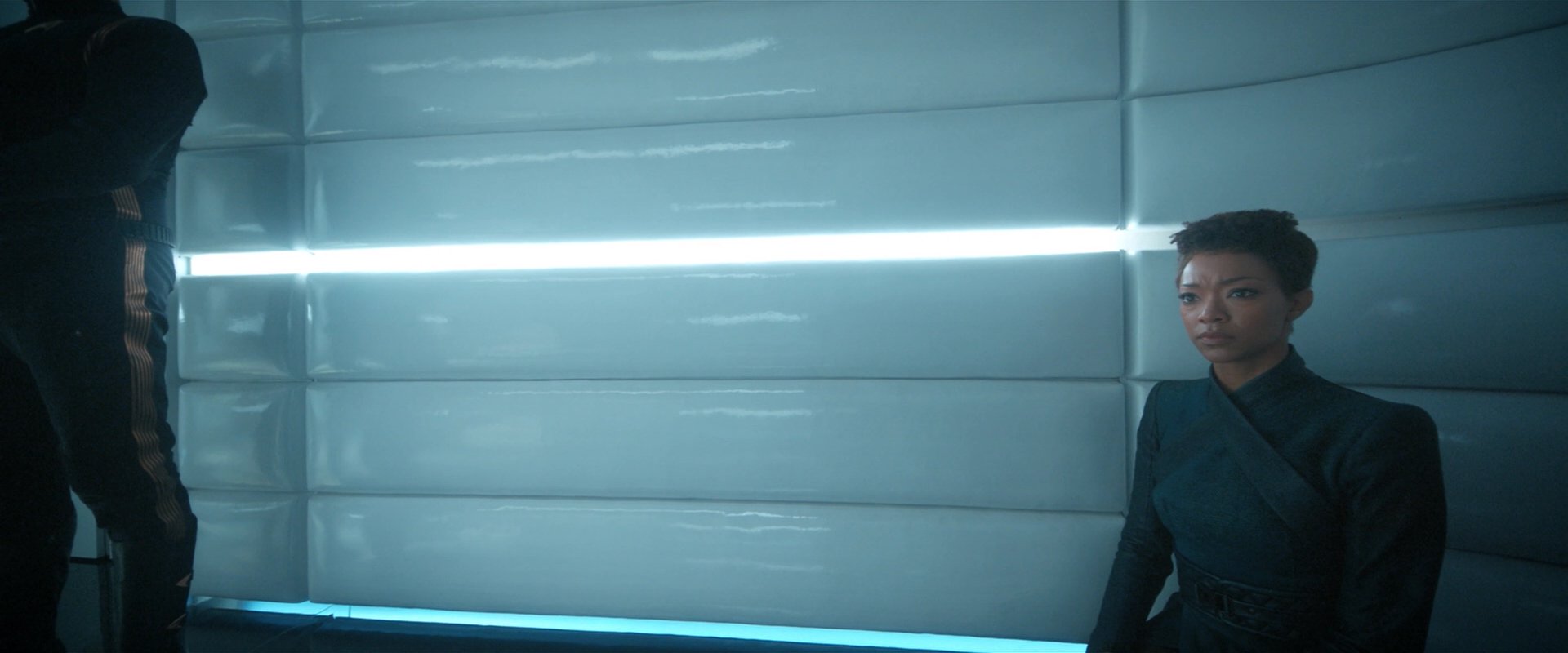 extant_StarTrekDiscovery_2x08-IfMemoryServes_03482.jpg