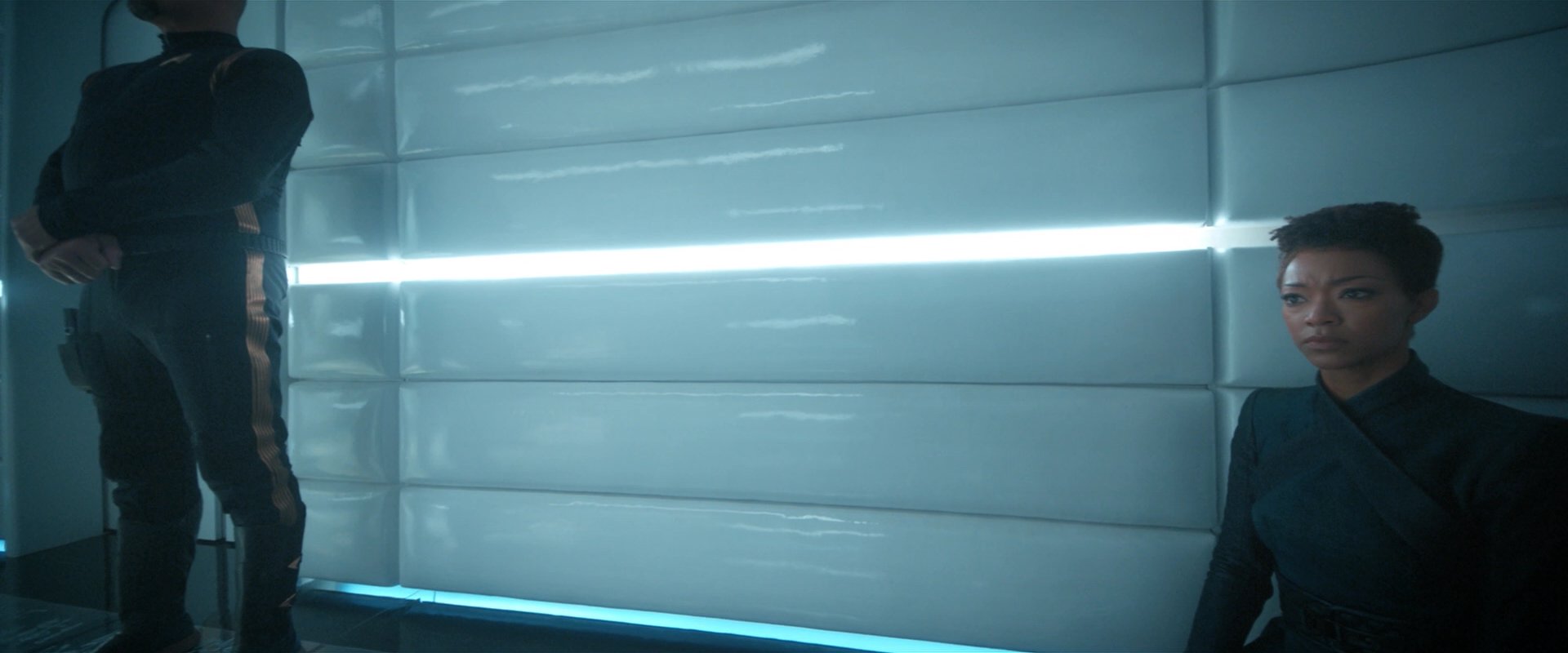 extant_StarTrekDiscovery_2x08-IfMemoryServes_03483.jpg