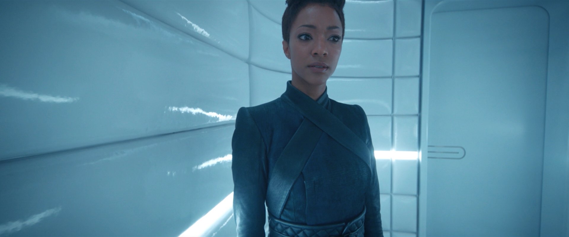 extant_StarTrekDiscovery_2x08-IfMemoryServes_03686.jpg