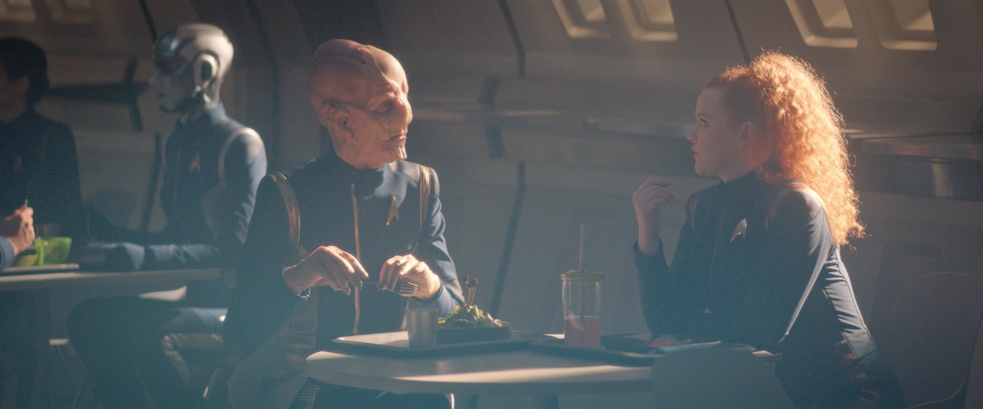 extant_StarTrekDiscovery_2x08-IfMemoryServes_03725.jpg