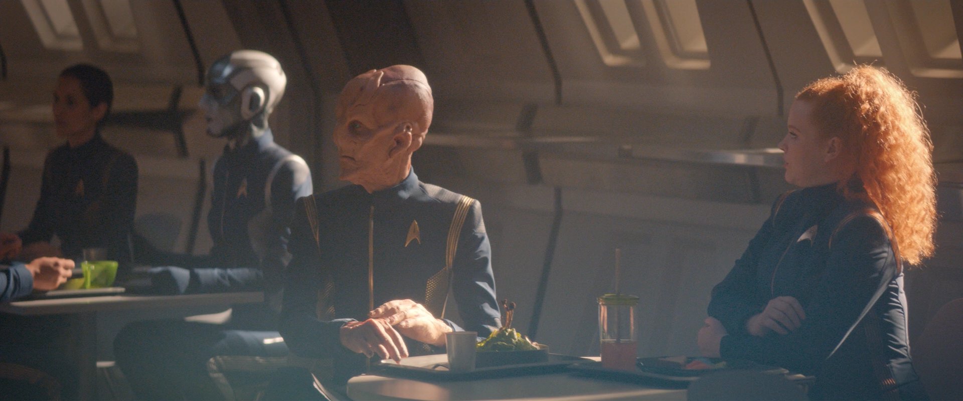 extant_StarTrekDiscovery_2x08-IfMemoryServes_03729.jpg