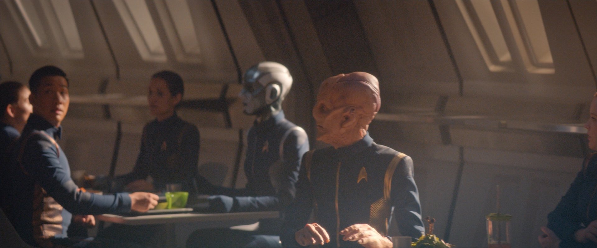 extant_StarTrekDiscovery_2x08-IfMemoryServes_03730.jpg