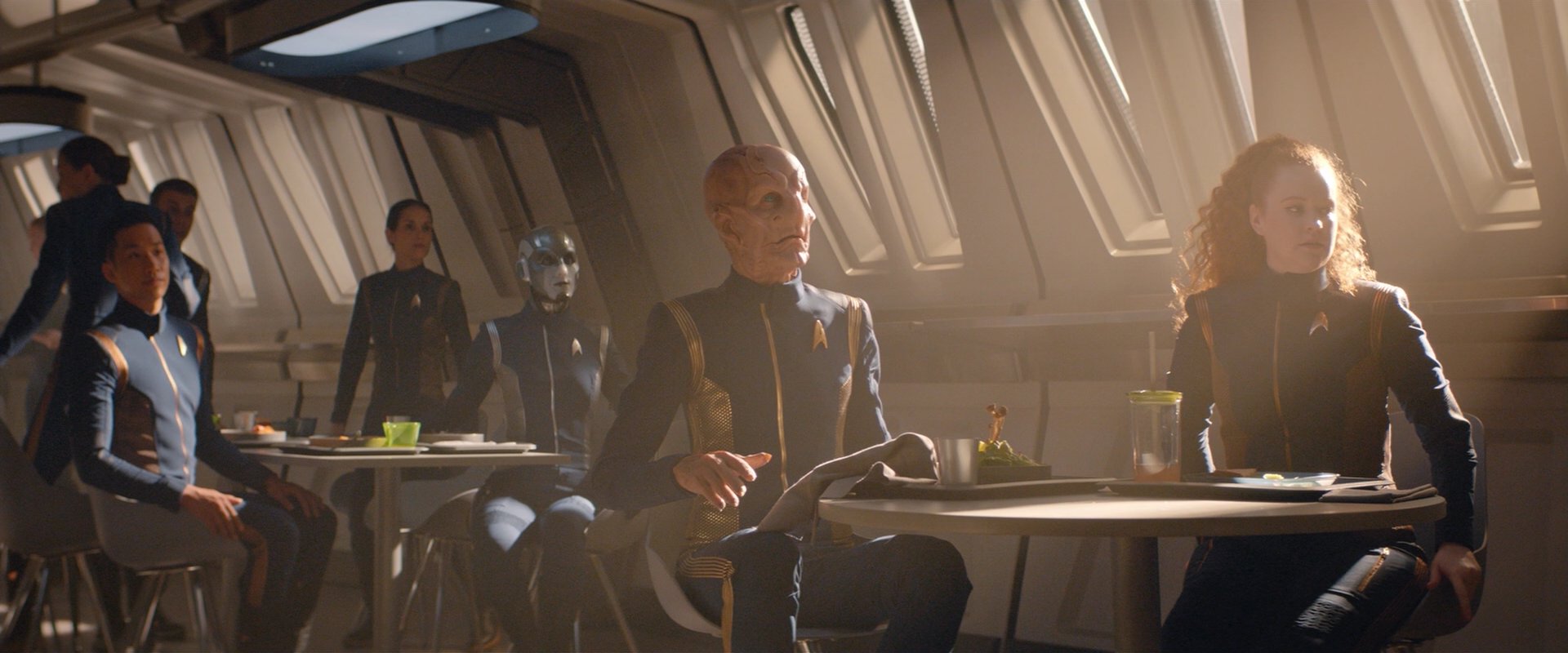 extant_StarTrekDiscovery_2x08-IfMemoryServes_03752.jpg