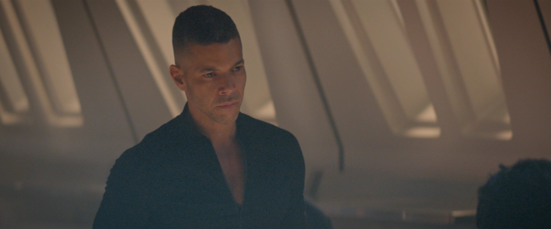 extant_StarTrekDiscovery_2x08-IfMemoryServes_03760.jpg