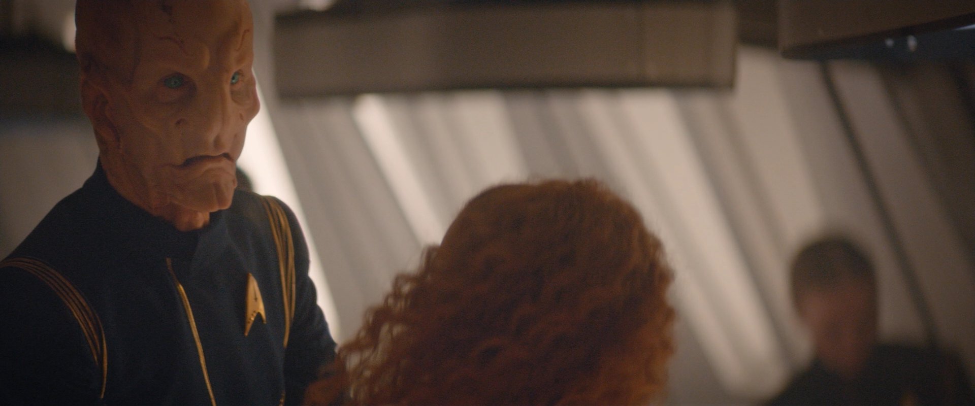 extant_StarTrekDiscovery_2x08-IfMemoryServes_03828.jpg